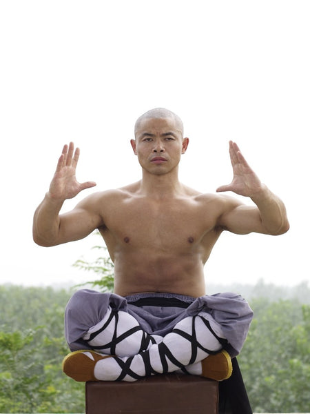 Online Training Course – Xi Sui Jing (Bone Marrow Cleansing) Qigong - shifuyanlei.myshopify.com