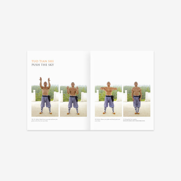 Instant Health: The Shaolin Qigong Workout For Longevity – Book - shifuyanlei.myshopify.com