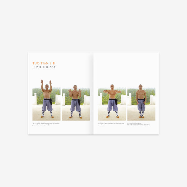 Shaolin Workout Two Book Bundle – Qigong & Kung Fu - shifuyanlei.myshopify.com