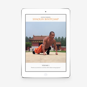 Shaolin Bootcamp Vol. 1 (Download) - shifuyanlei.myshopify.com