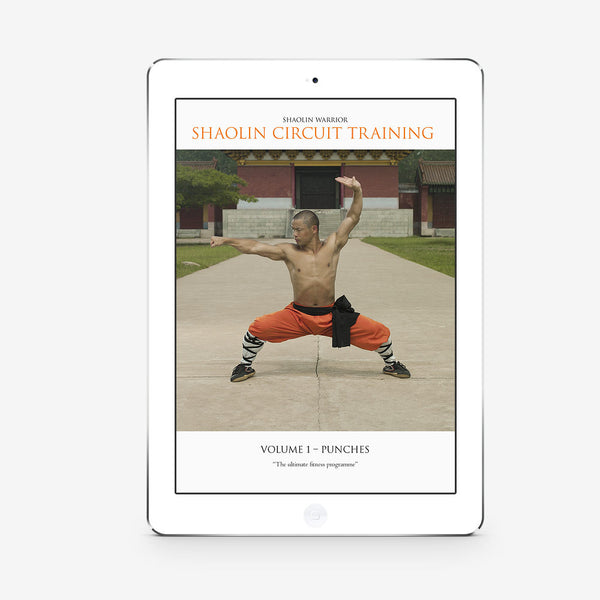 Shaolin Circuit Training Vol. 1 – Punches ( Download) - shifuyanlei.myshopify.com