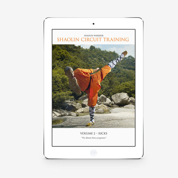 Shaolin Circuit Training Vol. 2 – Kicks (Download) - shifuyanlei.myshopify.com