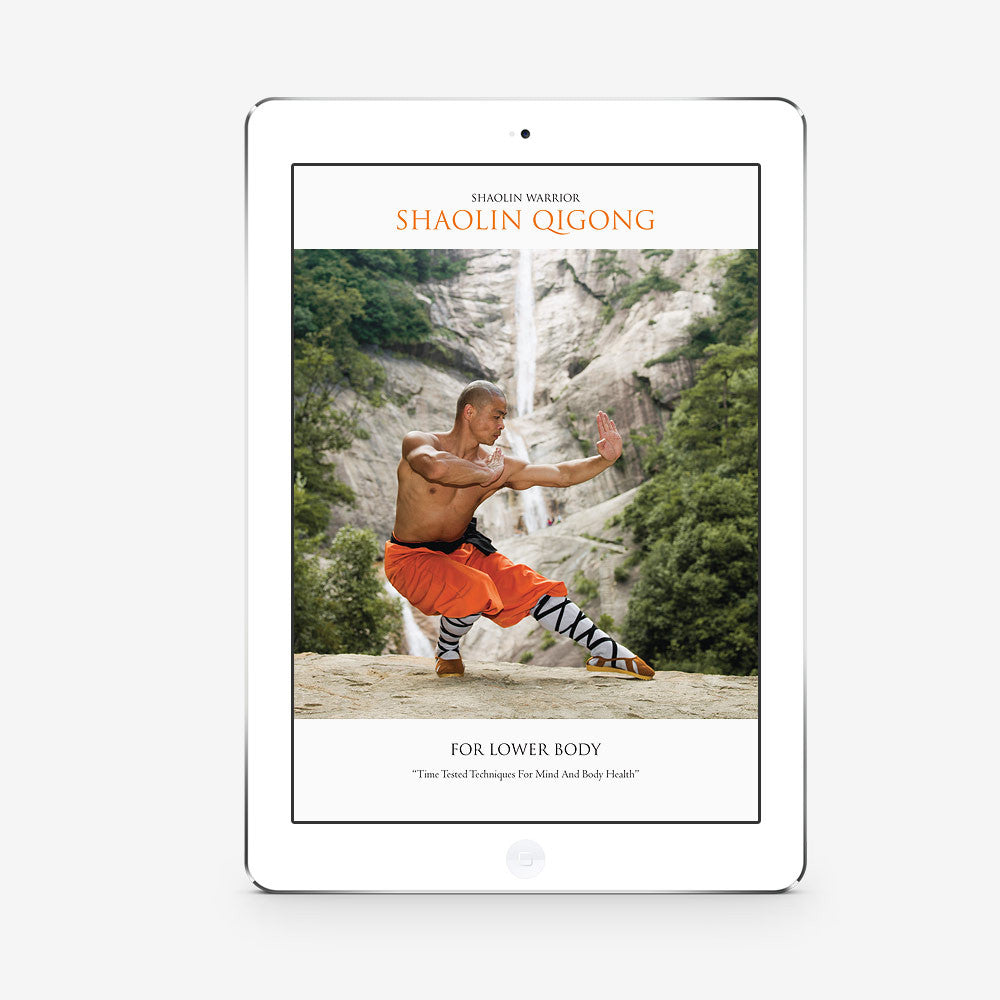 Shaolin Qigong For Lower Body (Download) - shifuyanlei.myshopify.com