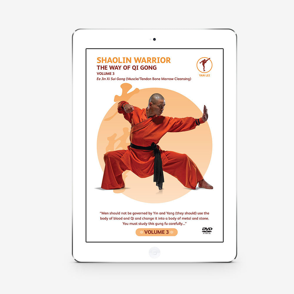 The Way Of Qigong Vol. 3 (Download) - shifuyanlei.myshopify.com