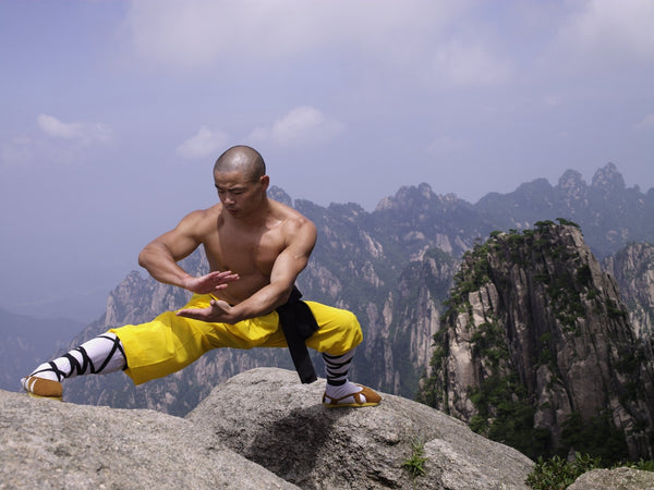 Online Training Course – 40 Day Shaolin Challenge - shifuyanlei.myshopify.com