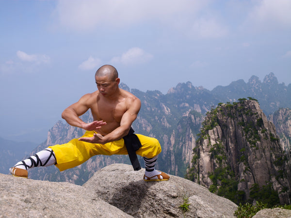 Online Training Course - 40 Day Shaolin Challenge - shifuyanlei.myshopify.com