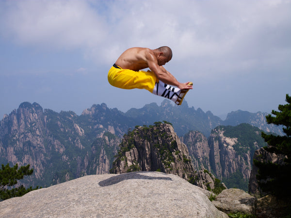 Online Training Course - 40 Day Shaolin Challenge - shifuyanlei.myshopify.com