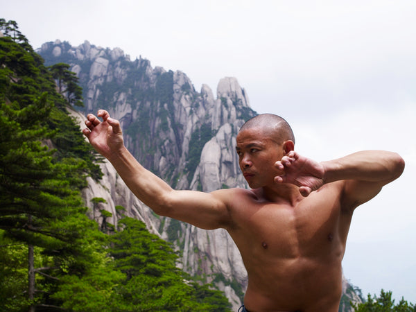 Online Training Course - Fighting Meditation - shifuyanlei.myshopify.com