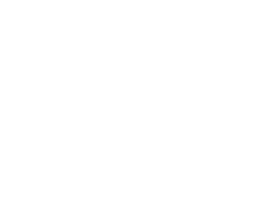 Shifu Yan Lei